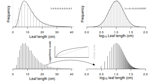 plot of chunk Transforms1