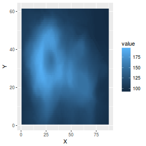 plot of chunk plotGgplotGeomRaster