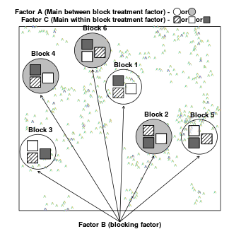 plot of chunk designSplitPlot